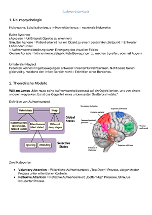 Kognitive Neurowissenschaften B Inhalt KOGNITIVE NEUROWISSENSCHAFTEN