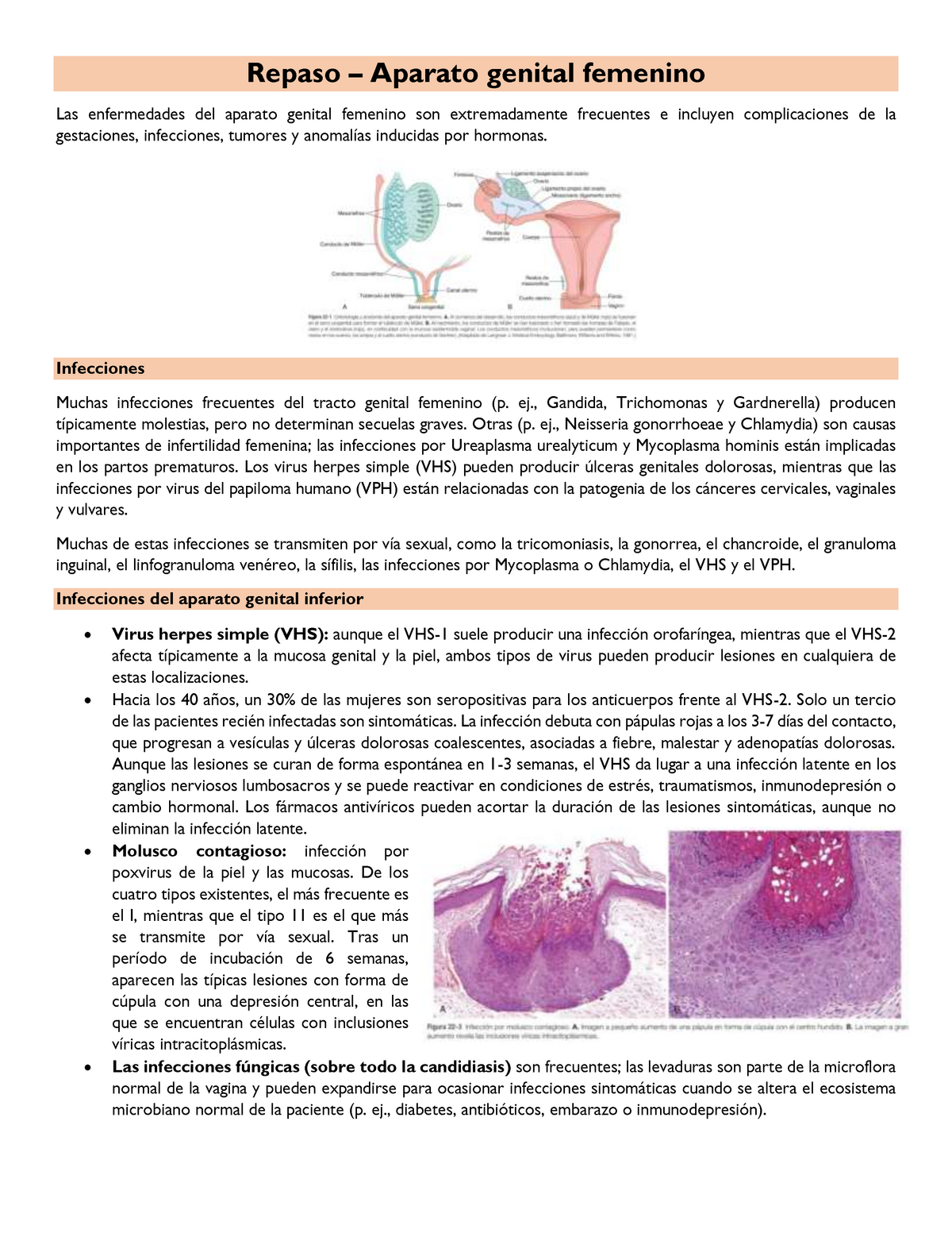 Repaso Capitulo 22 Patologia Semana 8 Repaso Aparato Genital Femenino La S Enfermedades 5710