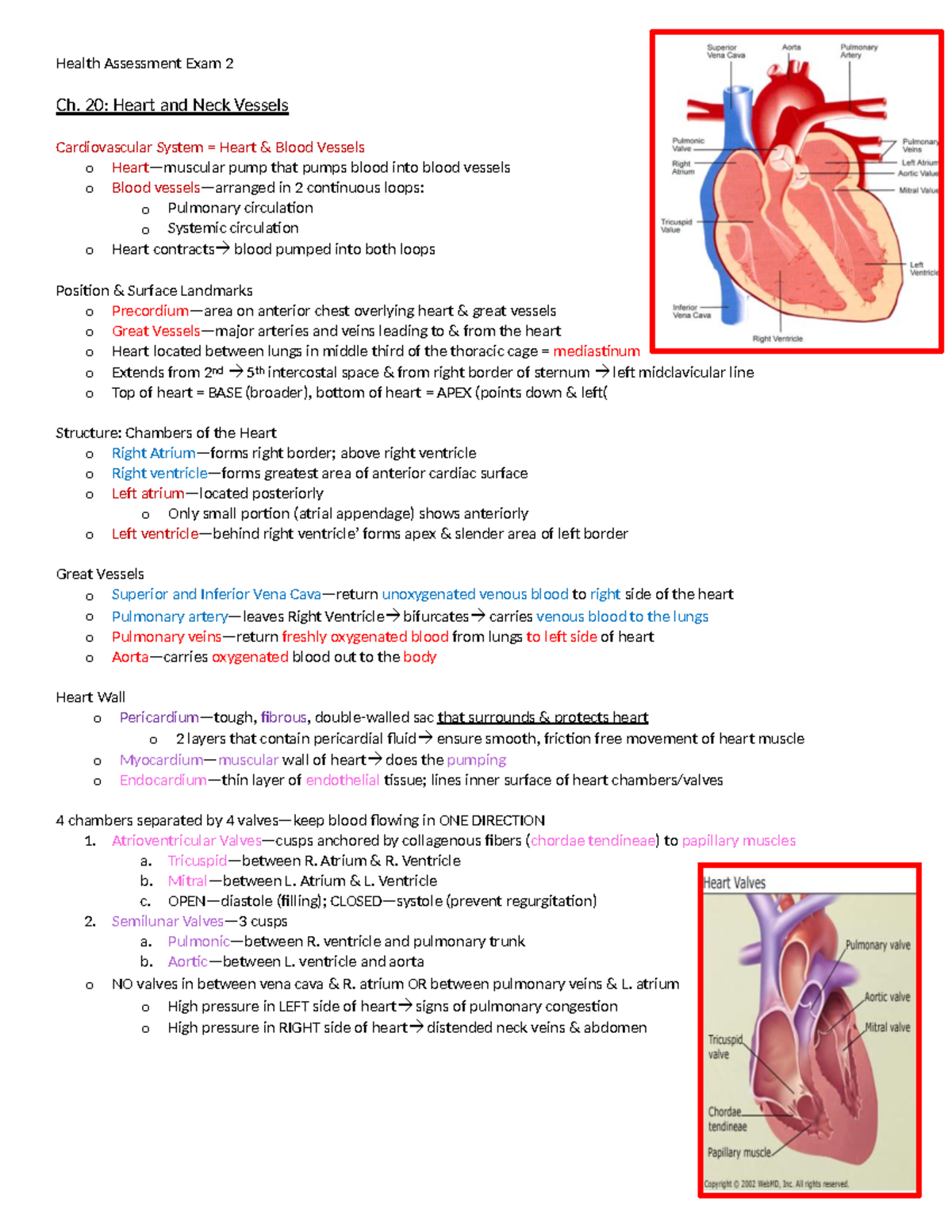 Health Assessment Exam 2 - 20: Heart And Neck Vessels Cardiovascular 