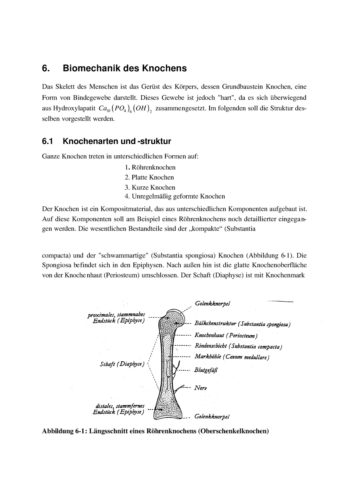 6 Biomechanik Knochen - Notizen Und Mitschriften Aus Der Vorlesung - 6 ...