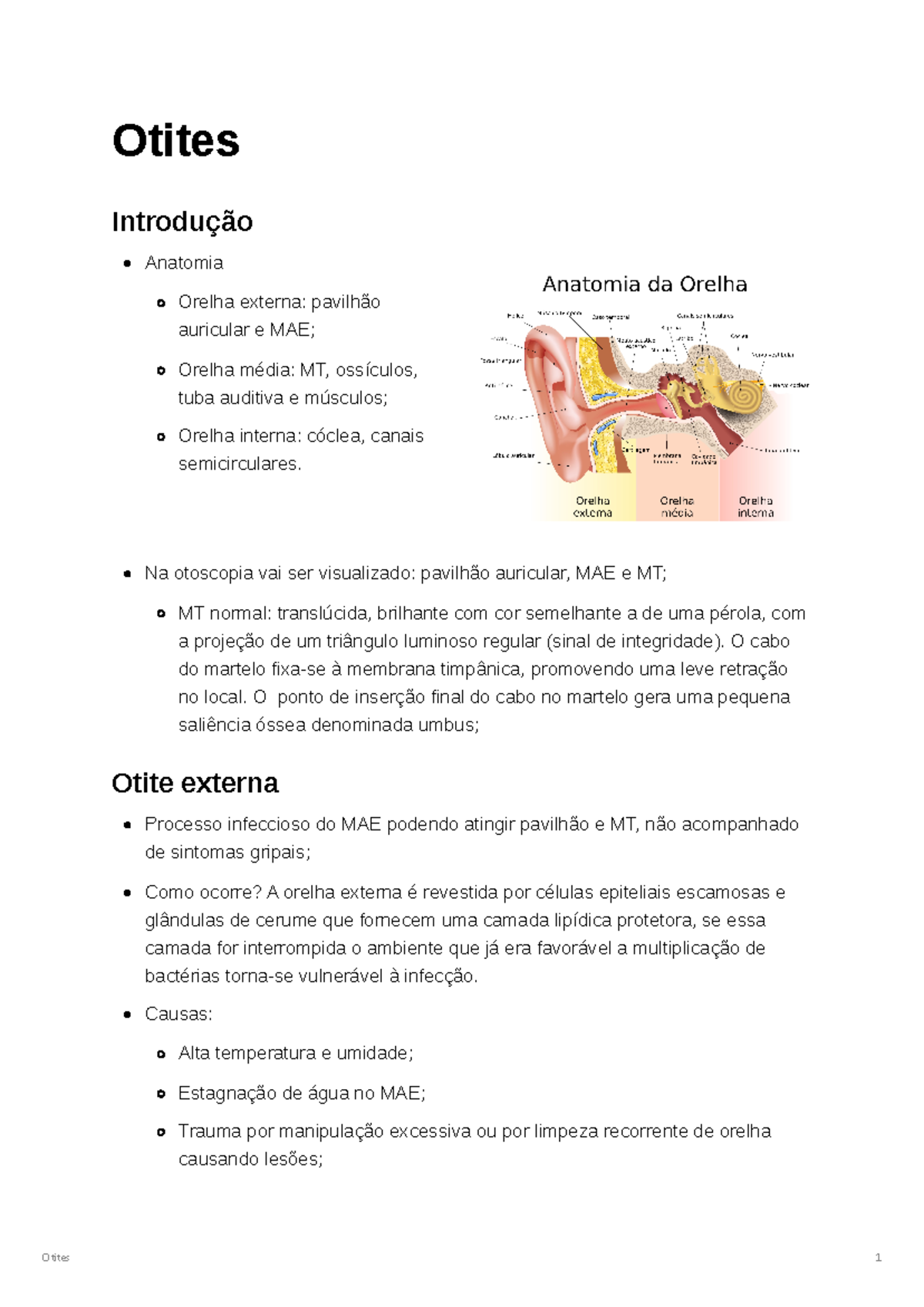 Otites 85a12d9f637f4f4a932a8461fe359856 - Otites Introdução Anatomia ...