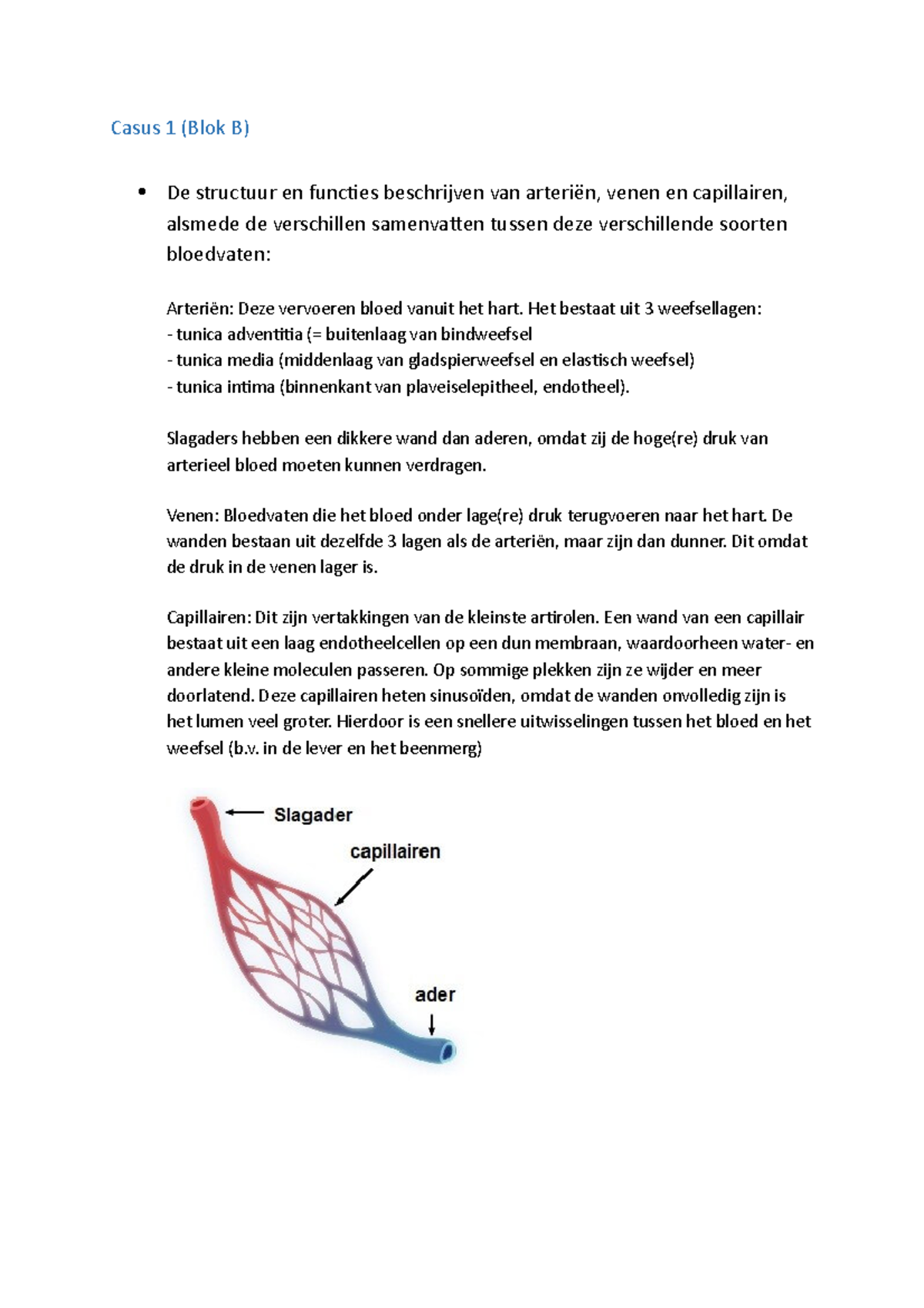 AFPF 2018 Casus 1 - Blok B - Casus 1 (Blok B) De Structuur En Functies ...