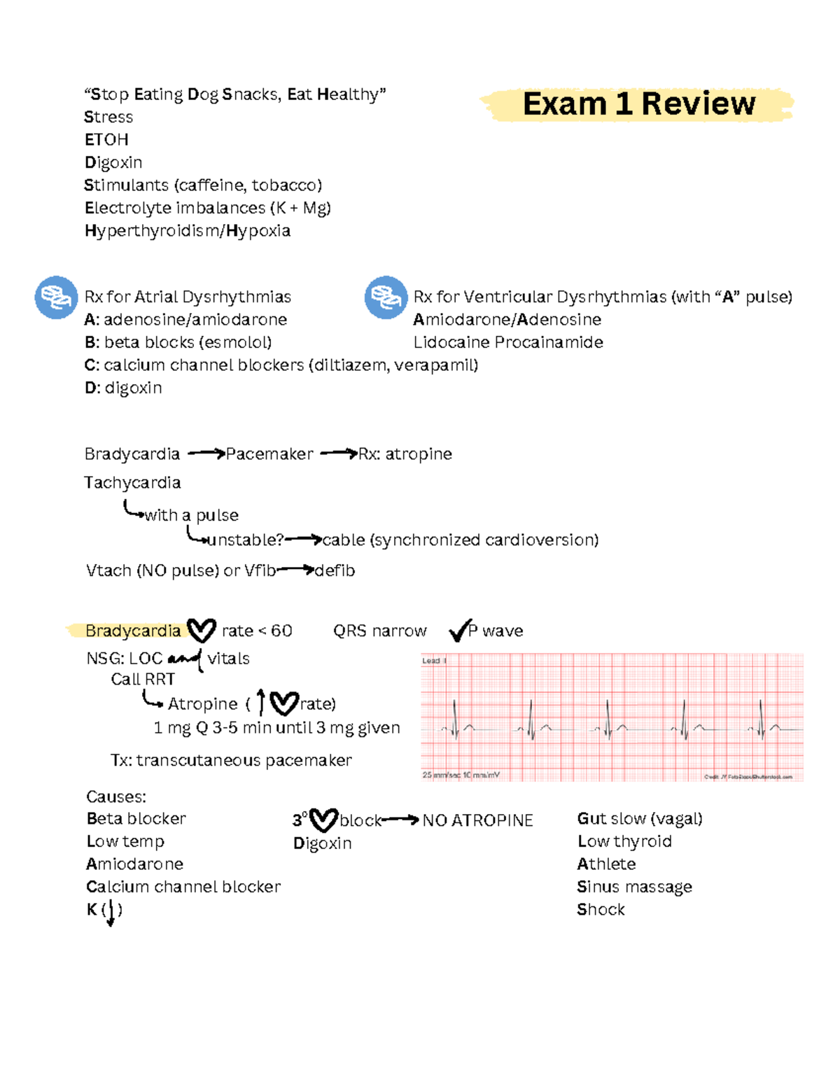 Exam 1 Med Surg II - Review for content covered in Exam I - Rx ...