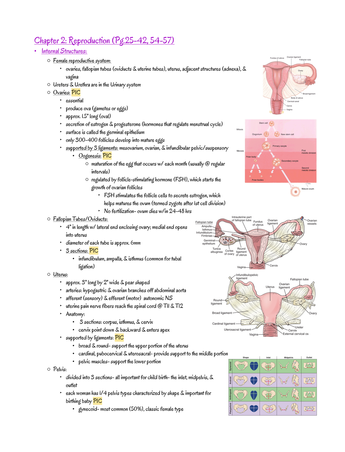 Maternity Exam 1- Textbook Notes - Chapter 2: Reproduction (Pg-42, 54 ...