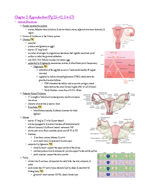 NSG3500 Preeclampsia learner preparation - Page 1 of 2 NSG 3500 Pre ...