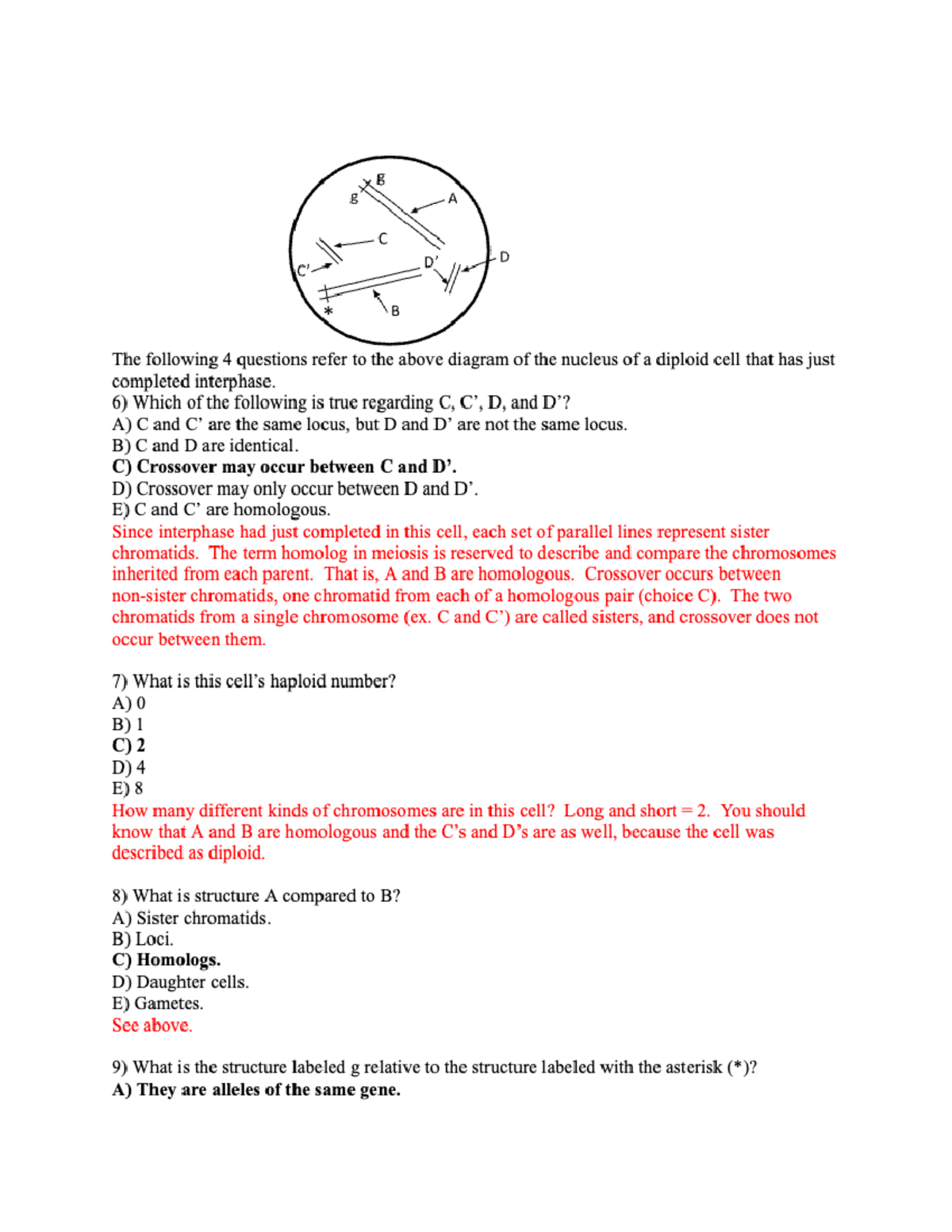 Beyond Mendel: Calculating 5Th Generation Allele Frequencies - ee242r6