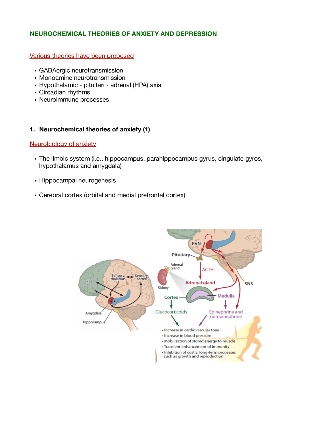 Neurochemical theories of anxiety and depression - NEUROCHEMICAL ...