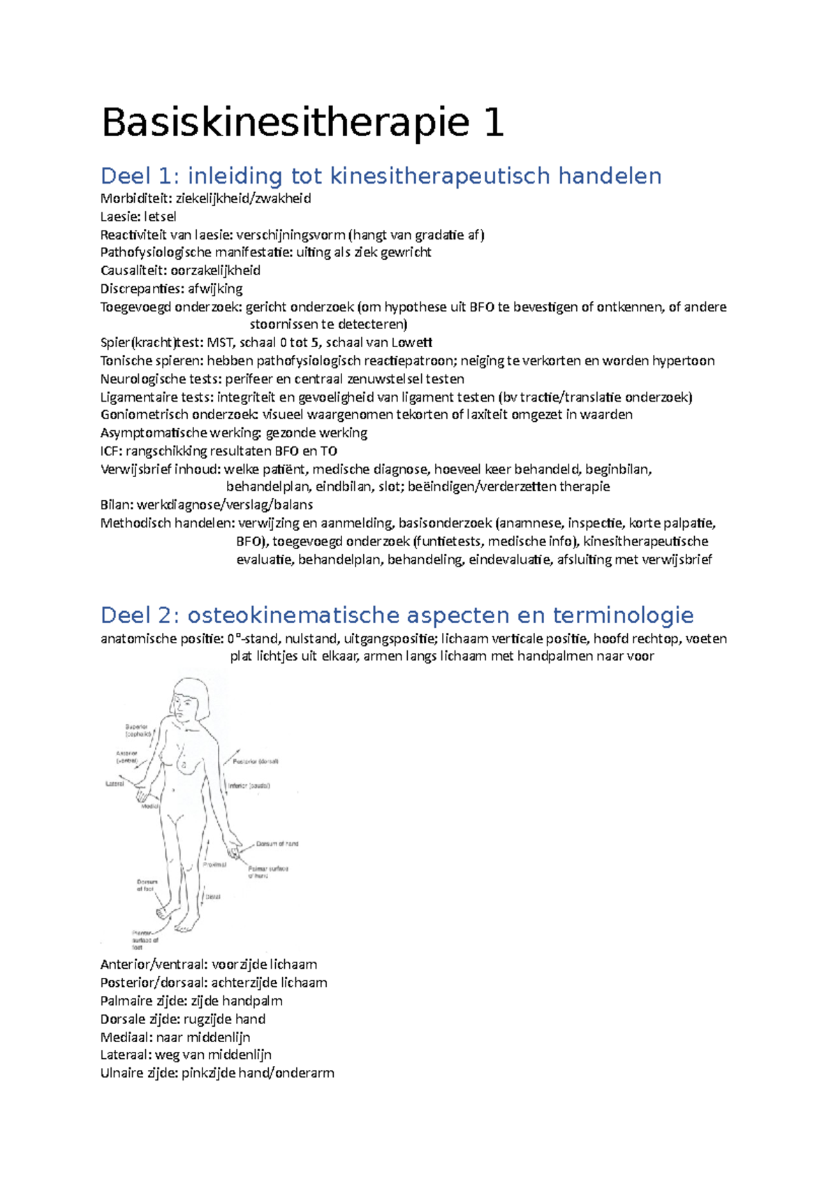 Basiskinesitherapie 1 Samenvatting Theorie Bovenste Kwadrant ...