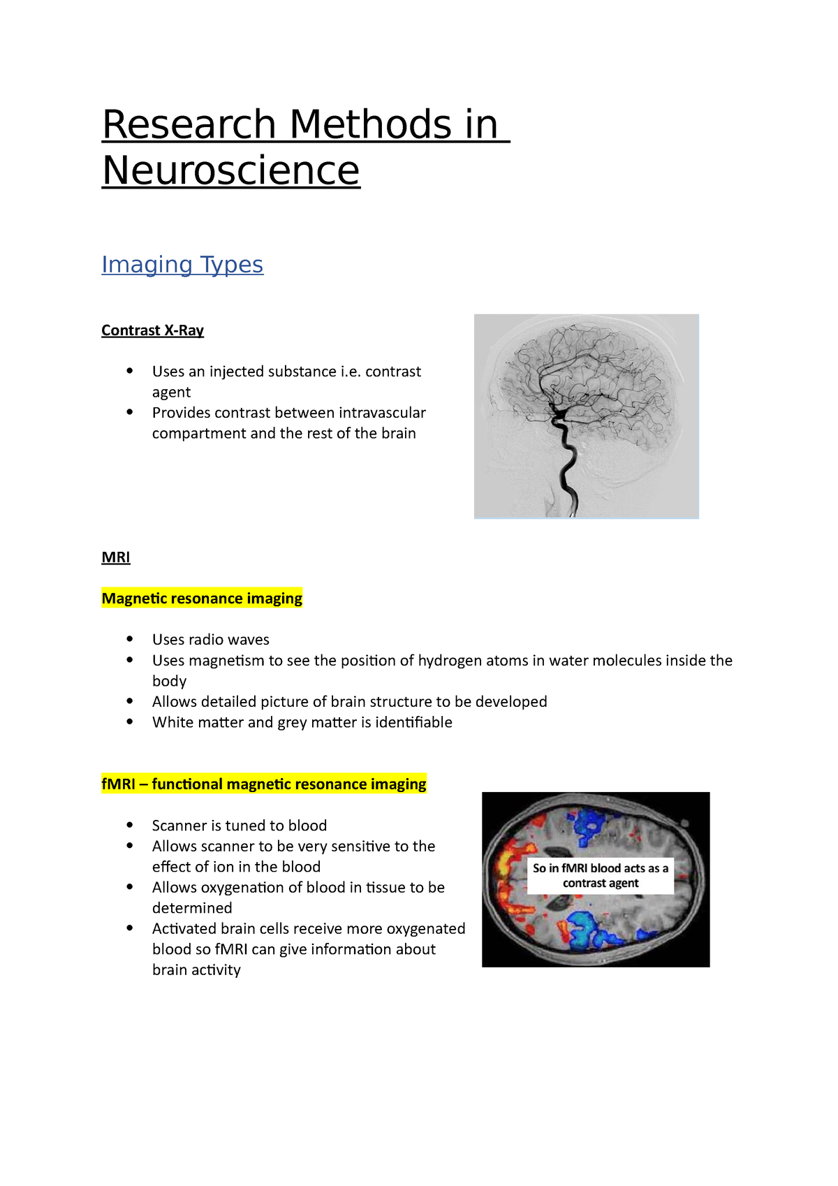 theoretical neuroscience research papers