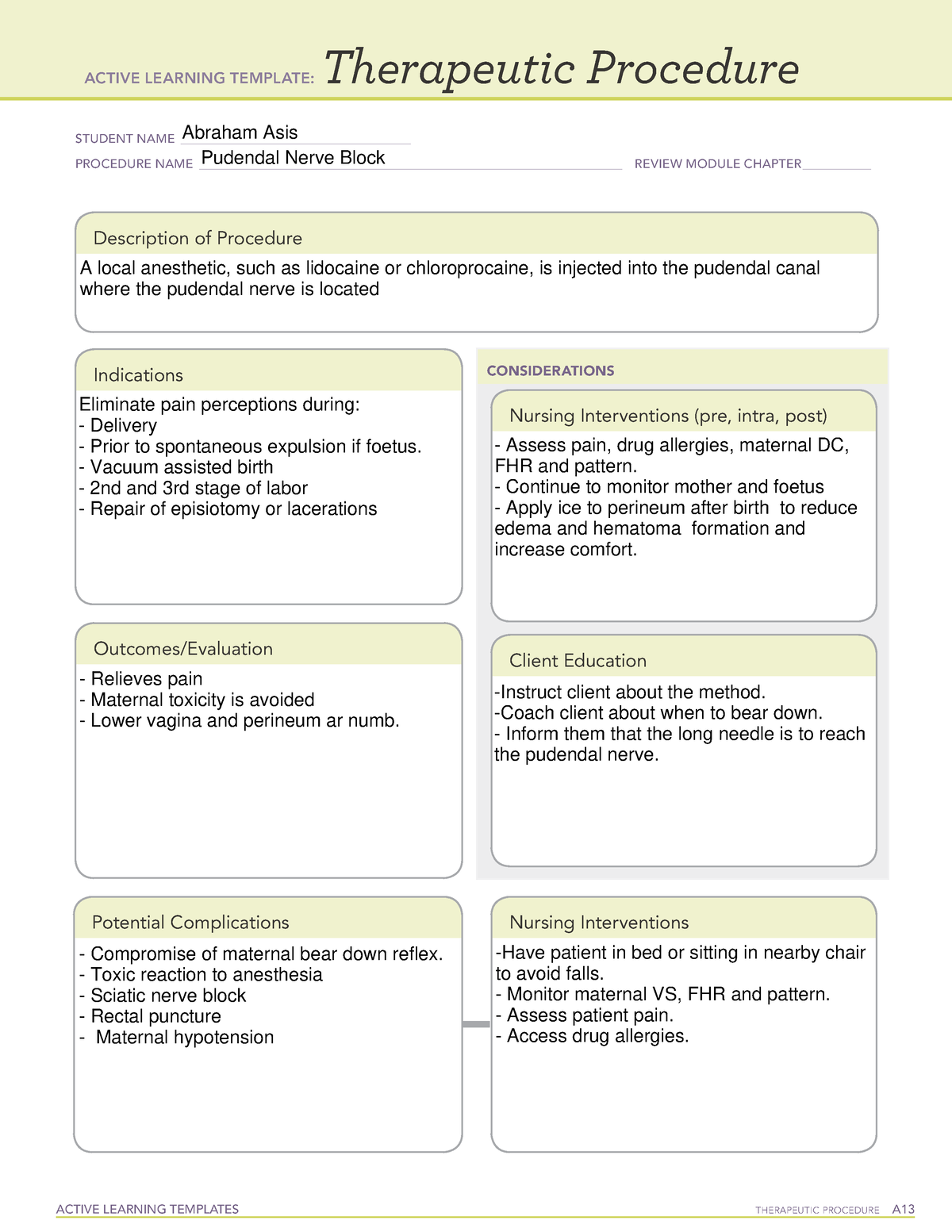 Active Learning Template Therapeutic Procedure form (Pudendal Nerve ...