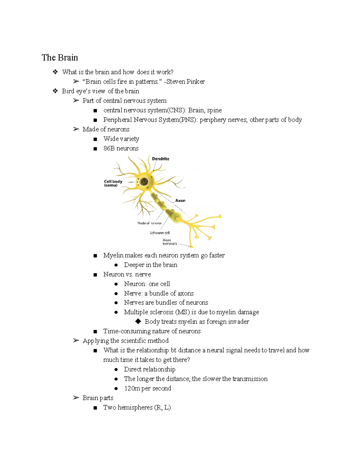 Psych 02 - Lecture notes 1-8 - The Brain What is the brain and how does ...