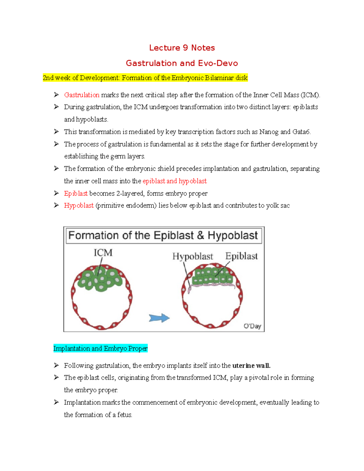 BIO380 Lecture 9 Notes - Lecture 9 Notes Gastrulation and Evo-Devo 2nd ...