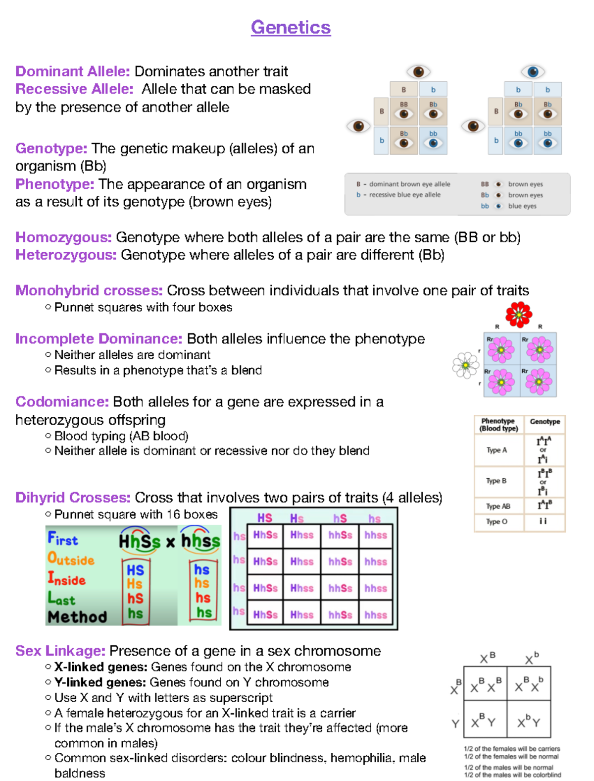 Genetics - Summary of genetic chapter - Genetics Dominant Allele ...