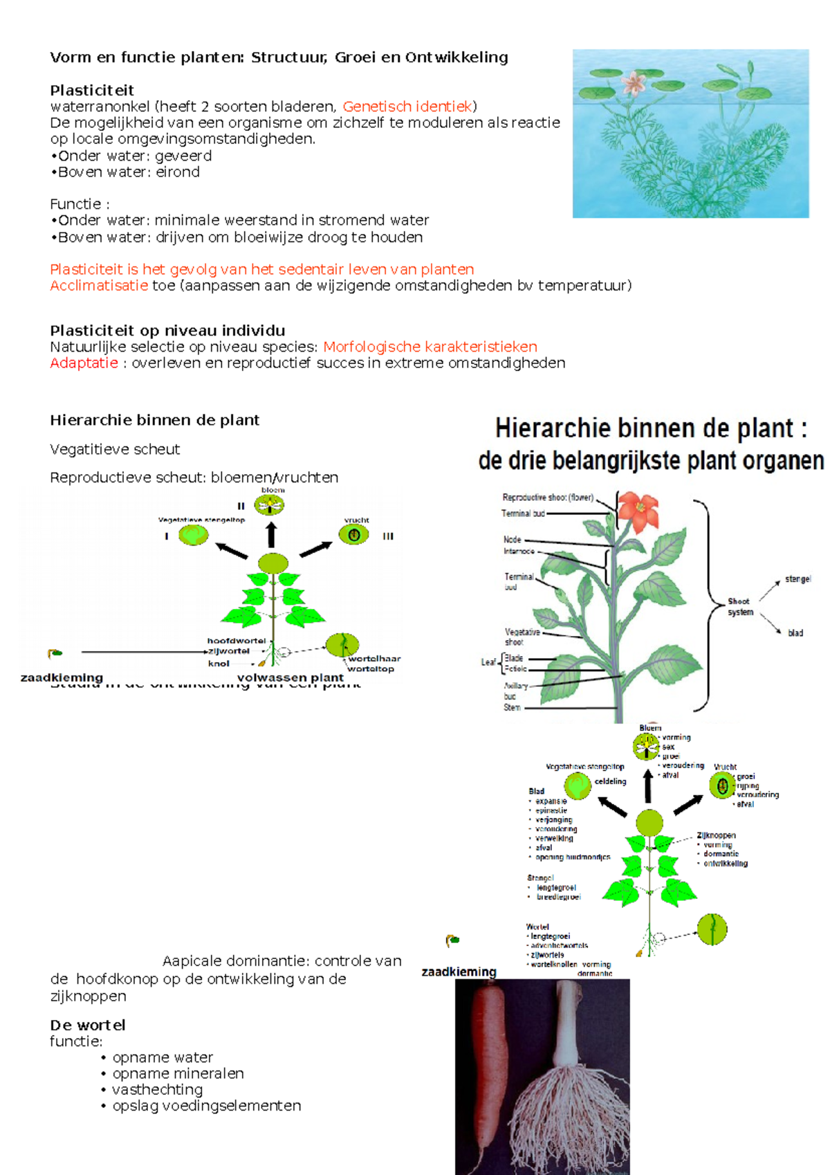 powerpoint-in-word-document-hoofdstuk-3-plantkunde-biodiversiteit-en