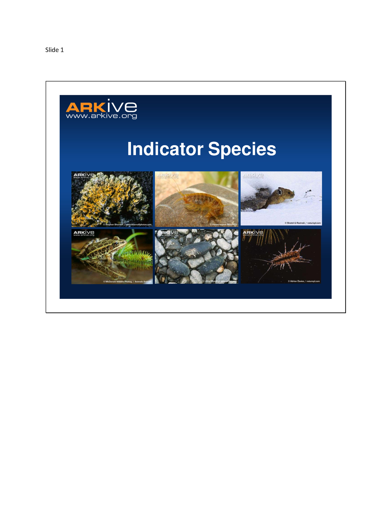 Indicator Species 2 - Indicator Species What is an indicator species