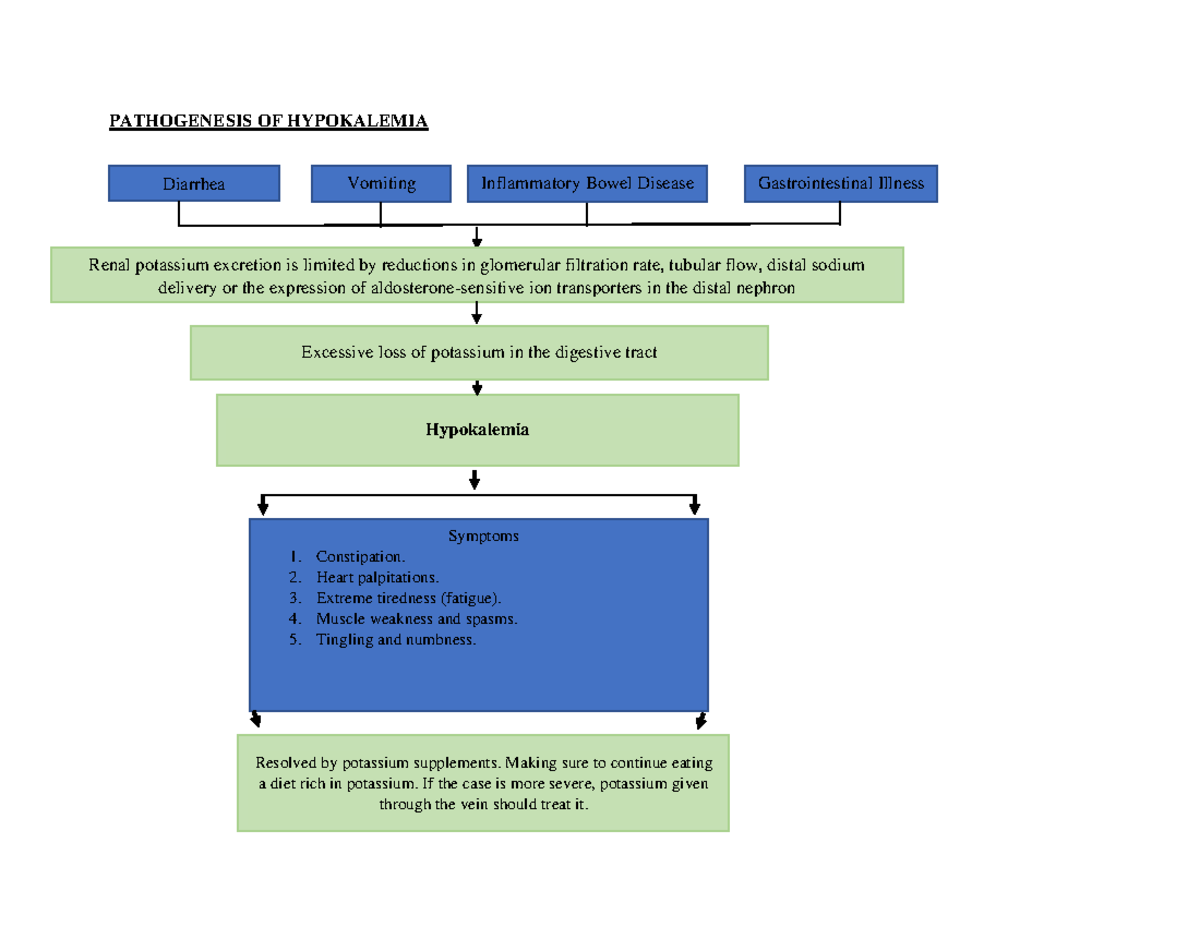 Hypokalemia LIFE Threathening Pathway AND Pathogenesis - PATHOGENESIS ...