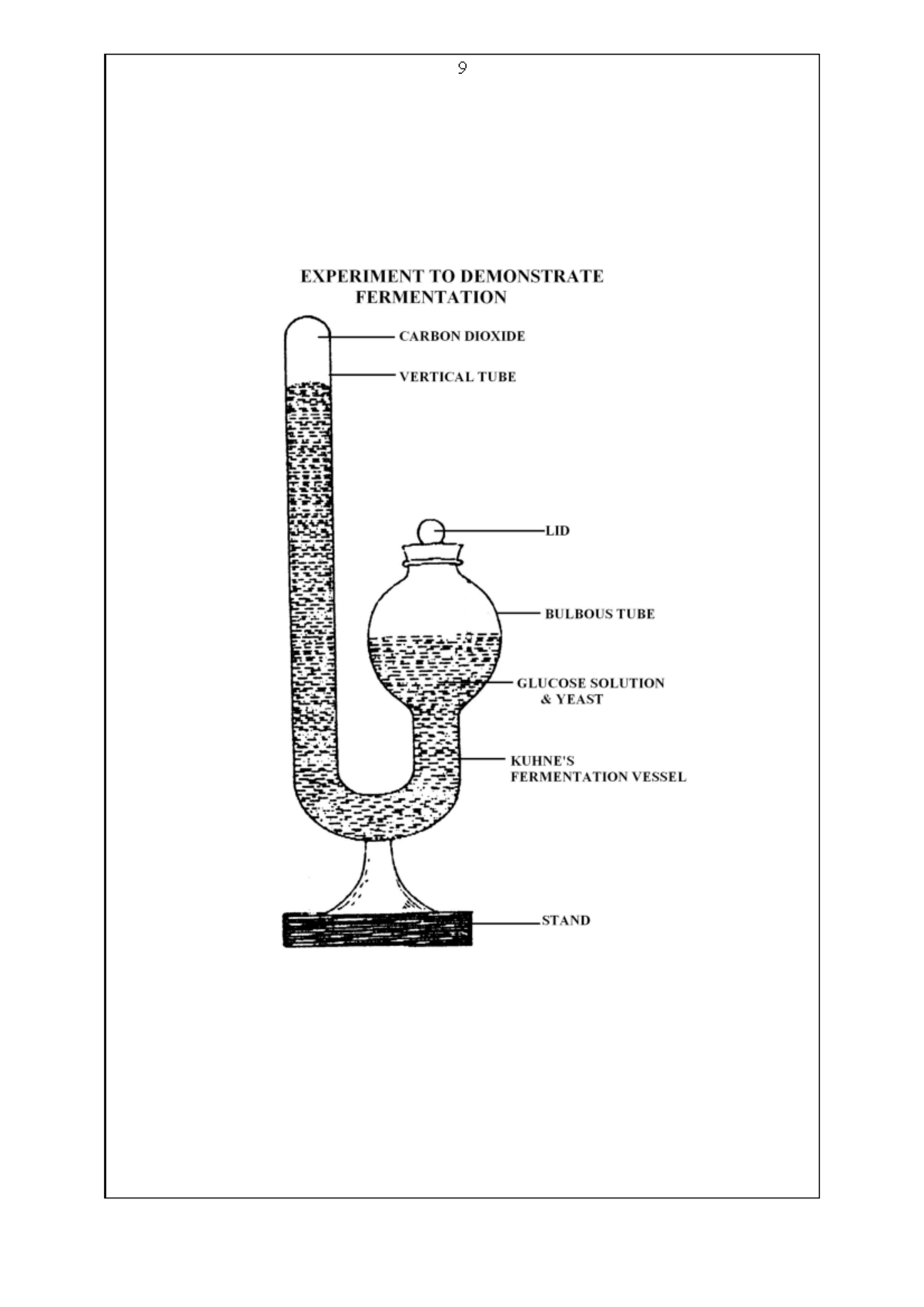 Physiology Expt It Is Practical Materials Experiment