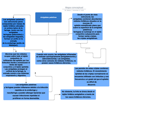 histología de las amígdalas faríngeas