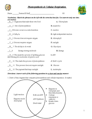 Opener Energy - Discover Photosynthesis and Respiration - Bell Ringer ...