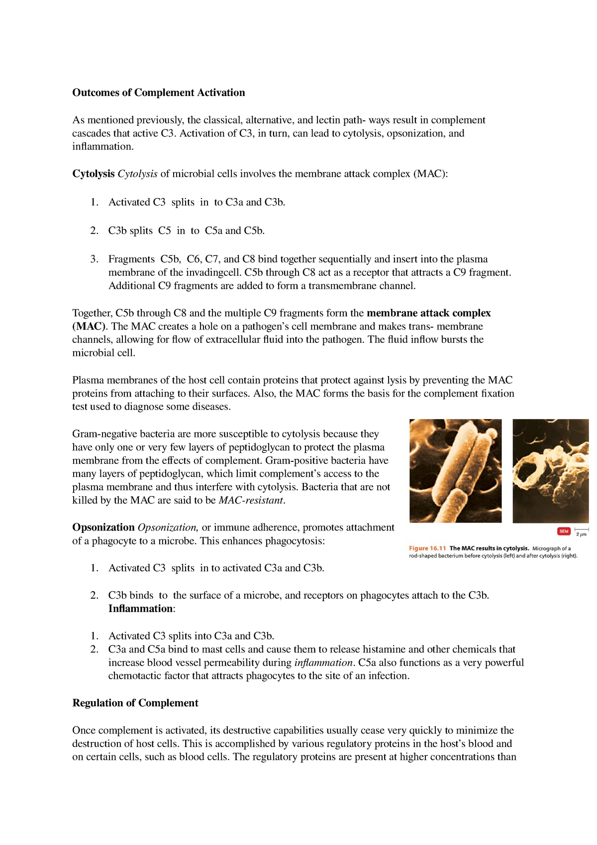 nonspecific-defenses-of-the-host-part-6-outcomes-of-complement