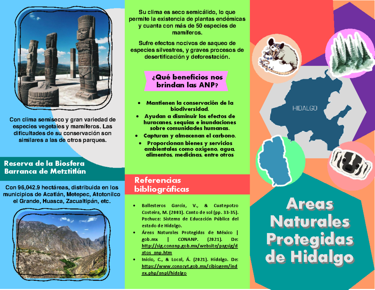 triptico-areas-naturales-protegidas-de-hidalgo-reas-naturales