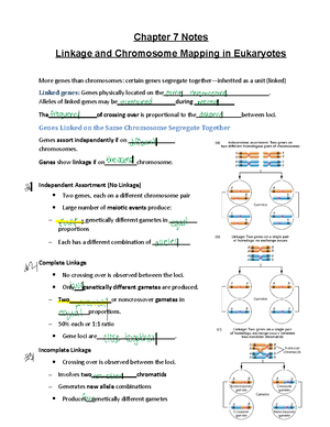 Chapter 6 Notes - Chromosome Mutations: Variation in Chromosome Number ...
