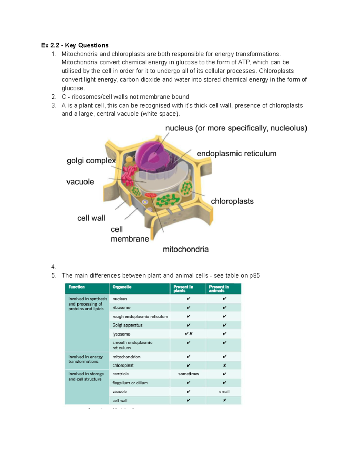 Chapter 2 Solutions - biology - Ex 2 - Key Questions 1. Mitochondria and chloroplasts are both ...