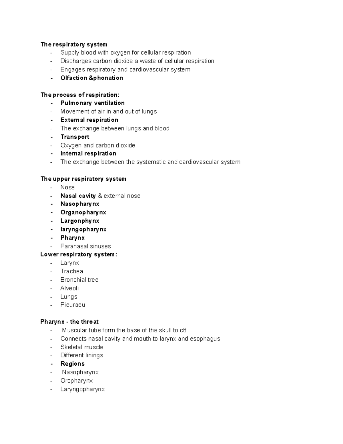 The respiratory system - Studocu