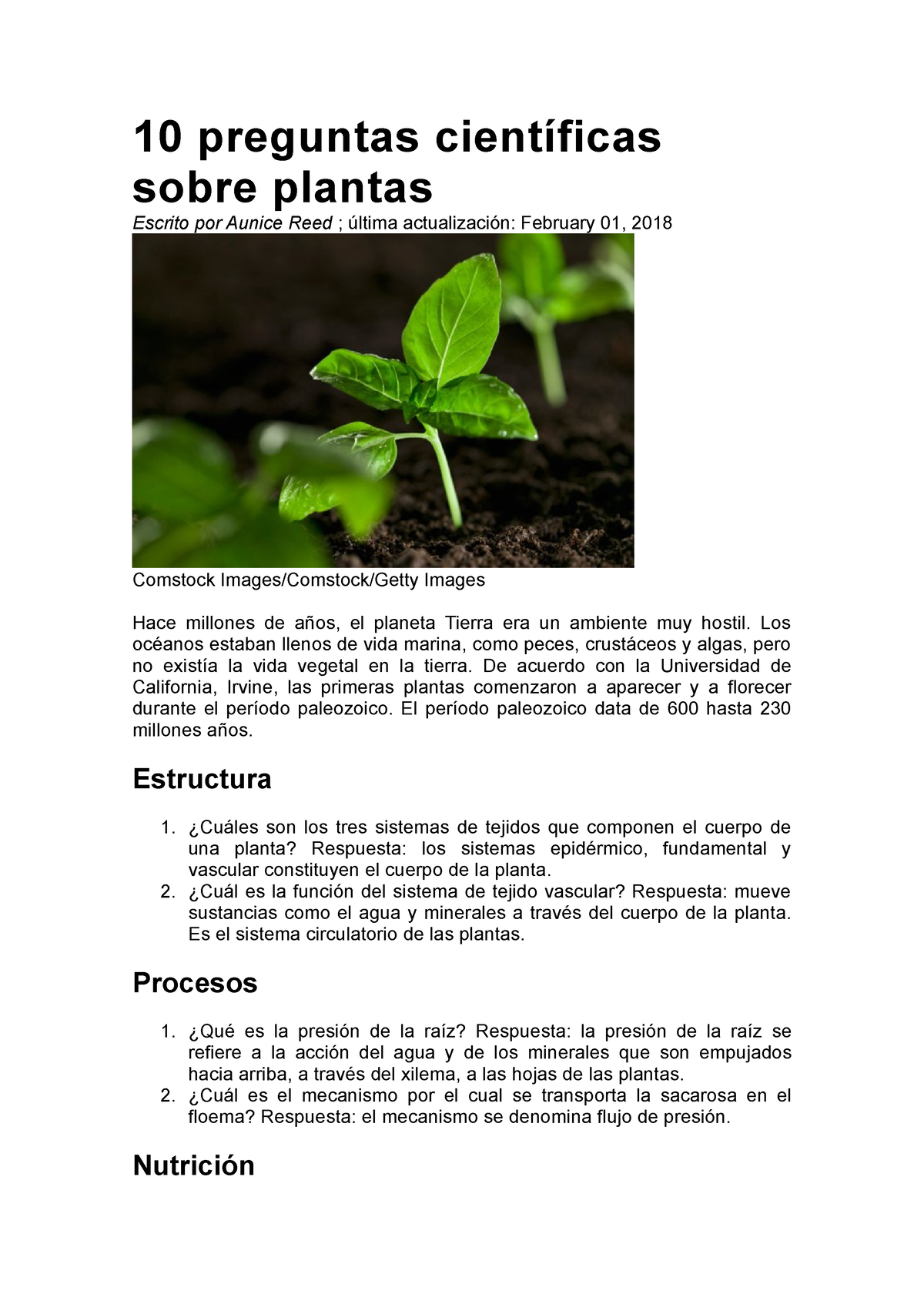 Ecología / ¿Cómo enraizar una planta por esquejes? – Semanario PREGUNTAS