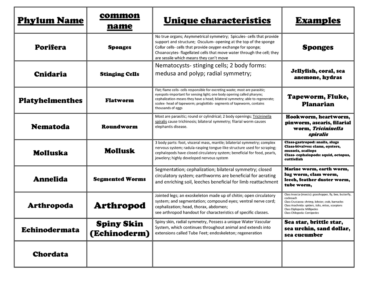 Animalchart - Phylum Name common name Unique characteristics Examples