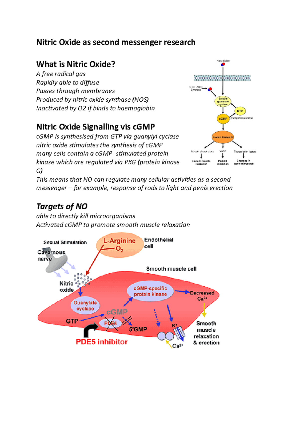 Nitric Oxide as second messenger research Studocu