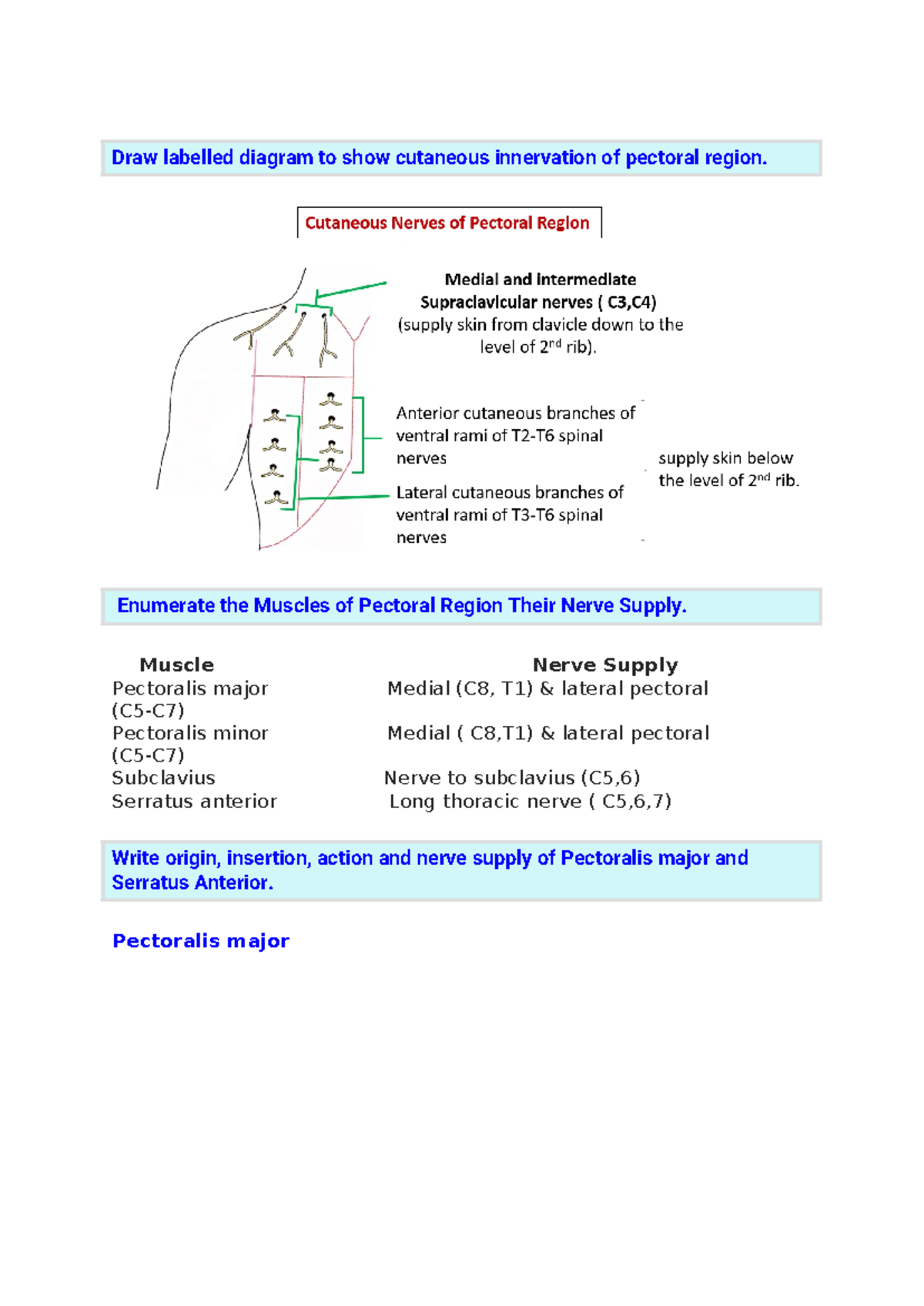 Summarized upper limb - It's good - Draw labelled diagram to show ...
