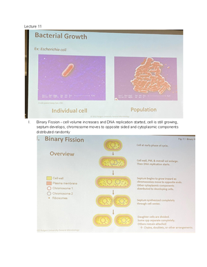 Microbio Lecture 1, 2, 3 Notes - (Lecture 1: Ch 1 & 2) Introduction To ...