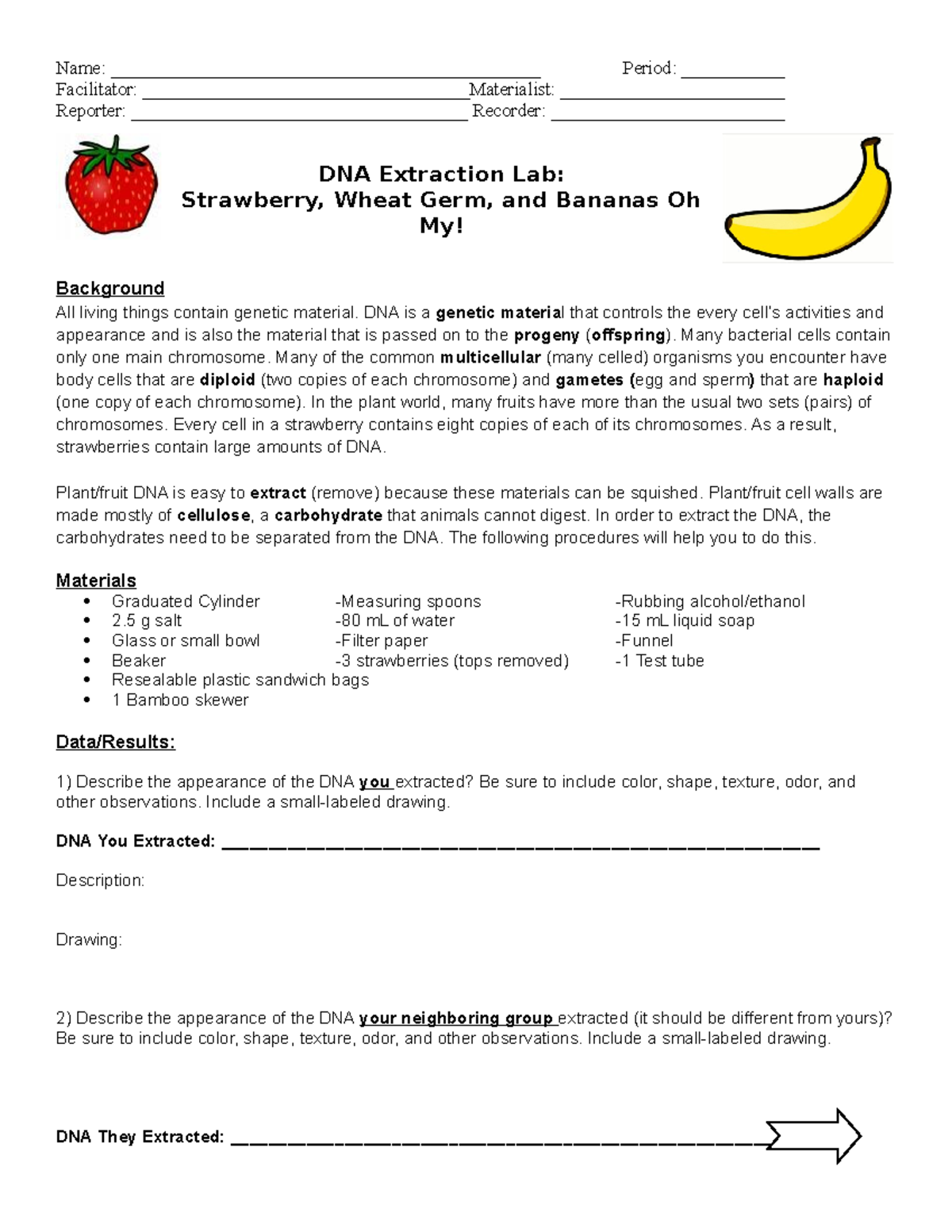 Strawberry Dna Extraction Lab Worksheet Pro Worksheet