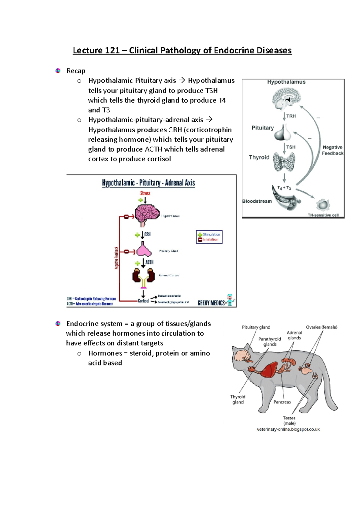 Lecture 121 – Clinical Pathology of Endocrine Diseases - Lecture 121 ...