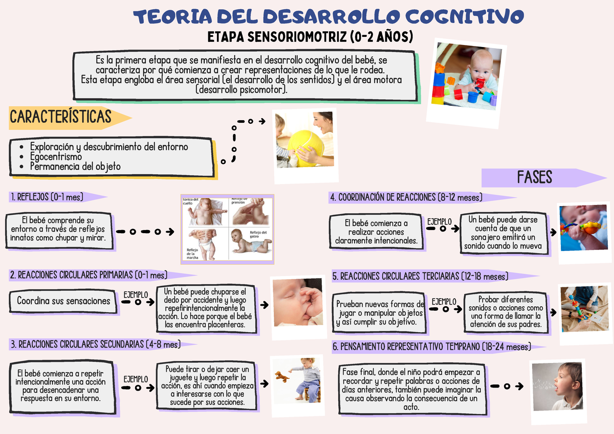 Teor a DEL Desarrollo Cognitivo EJEMPLO El beb comienza a