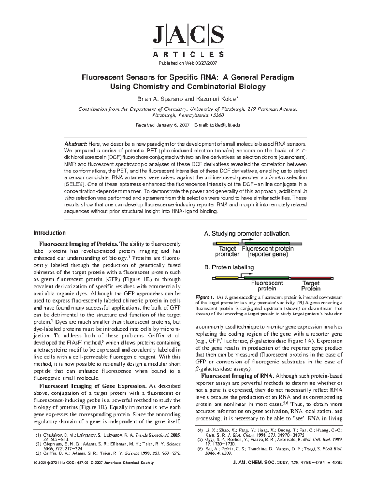 Fluorescent Sensors for Specific RNA A General Paradigm Using Chemistry