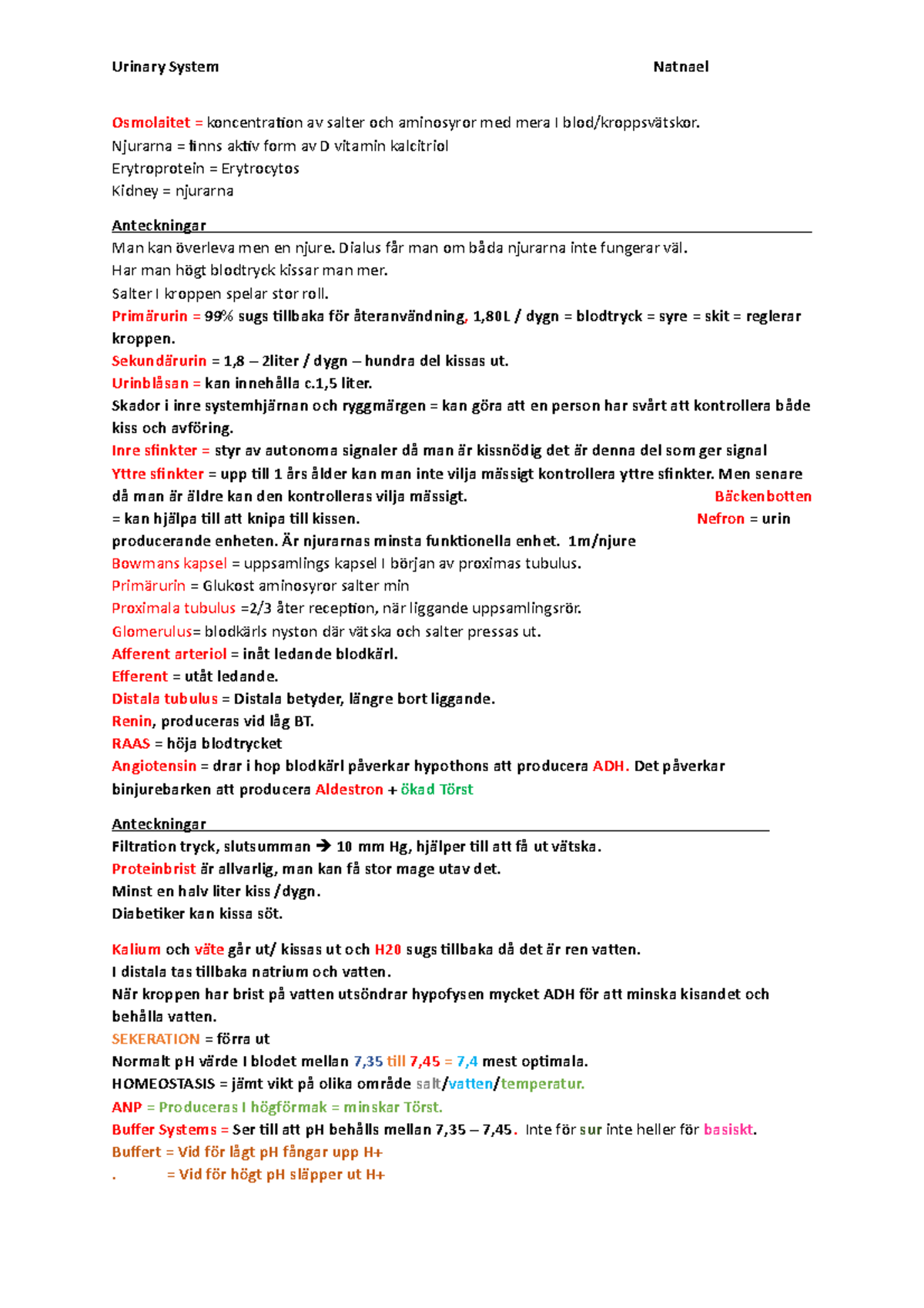 Urinary System, Njurarna - Urinary System Natnael Osmolaitet ...