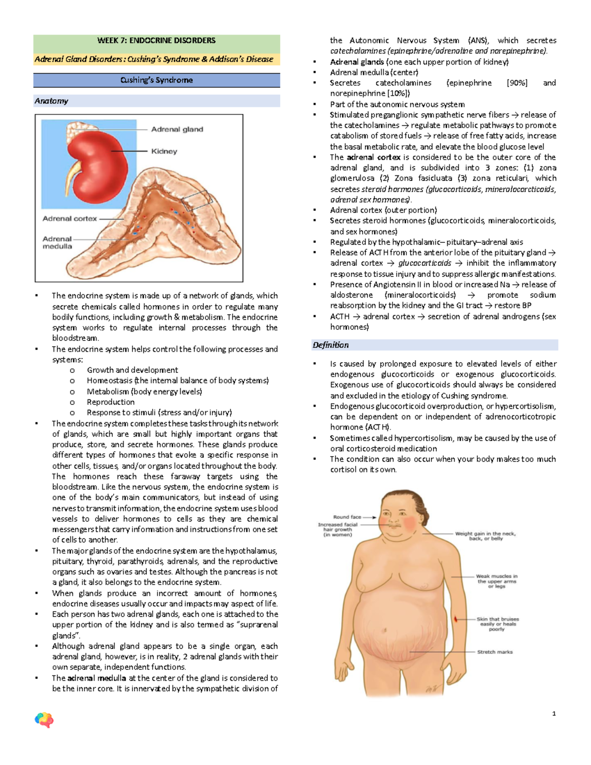 Endocrine Disorder - WEEK 7: ENDOCRINE DISORDERS Adrenal Gland ...