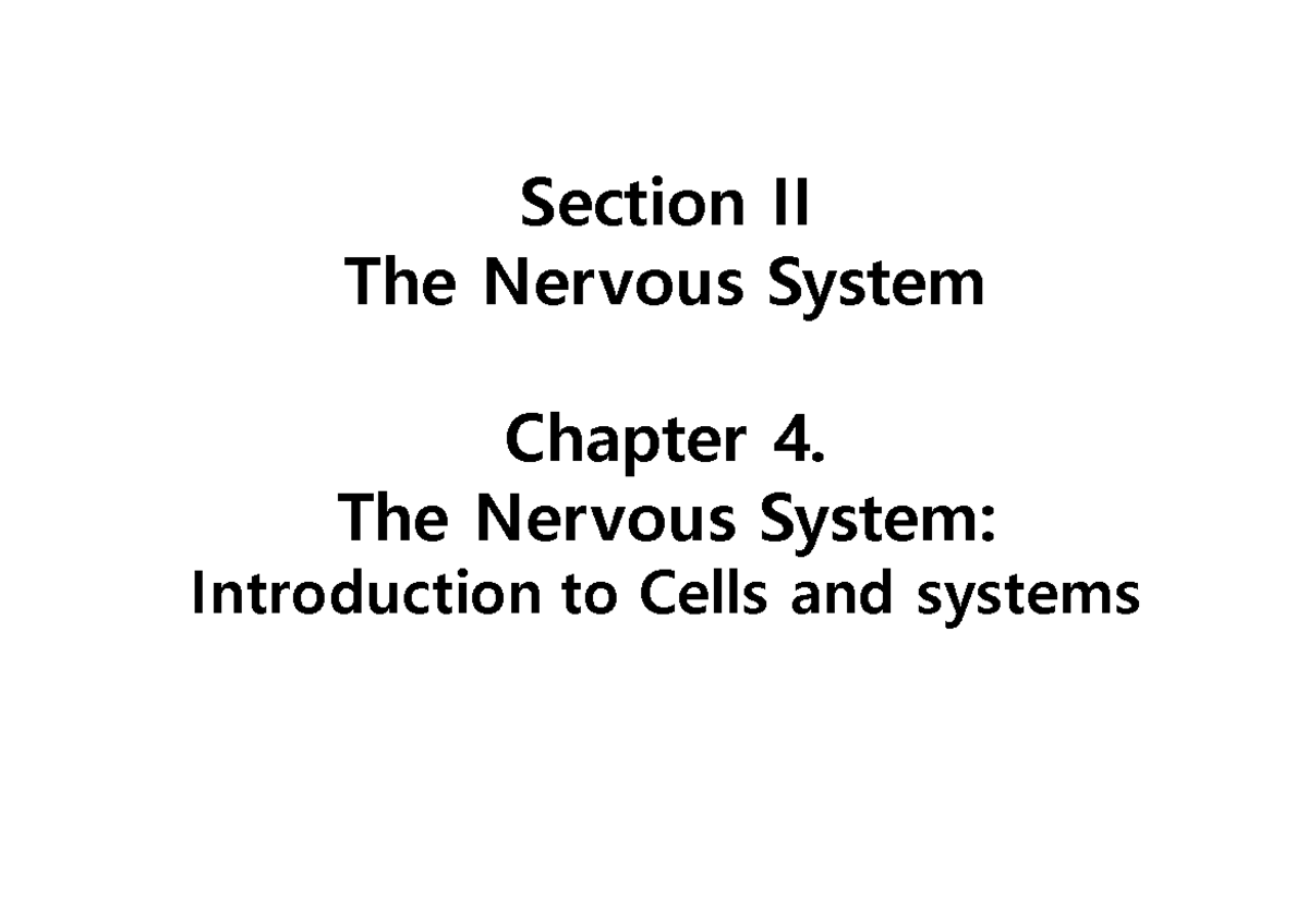 Ch04 The Nervous System short - Section II The Nervous System Chapter 4 ...
