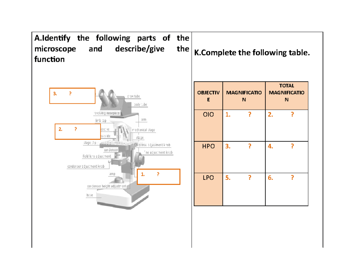 Prelim Practicals Practical exam in bacteriology (Microbiology 1