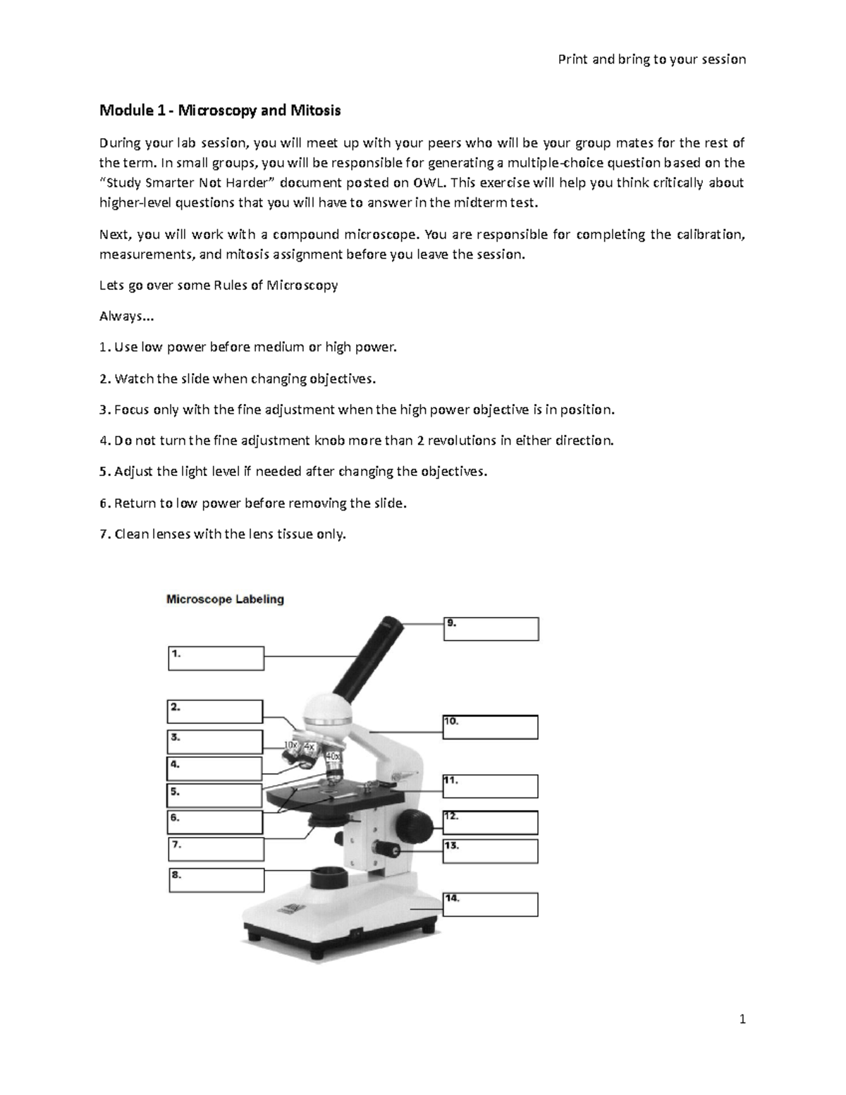 Unlock Mitosis & Meiosis: Video Tutor Session & Quiz Included! - r3advie