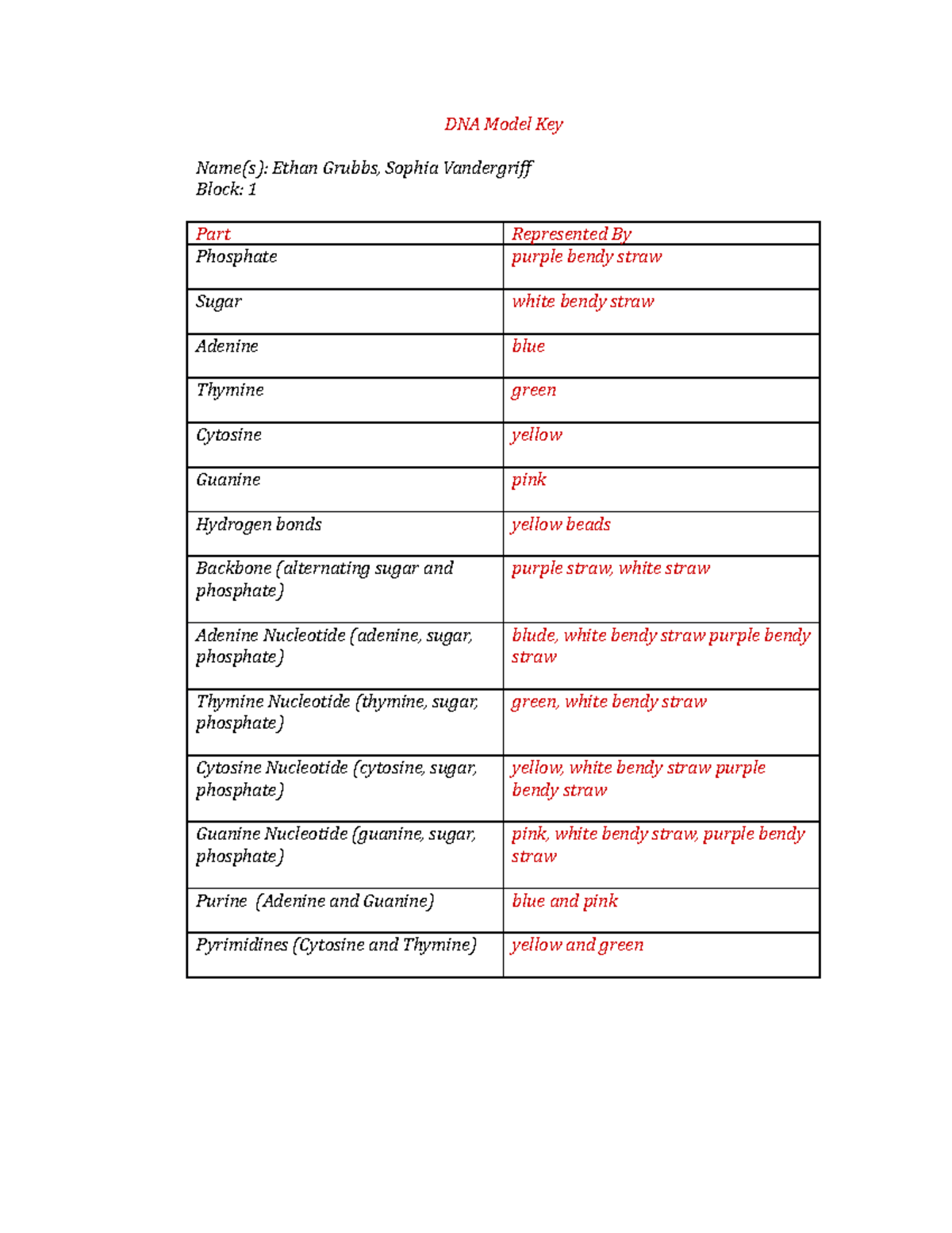 DNA Model Key - answer key for the dna sequency paper - DNA Model Key ...