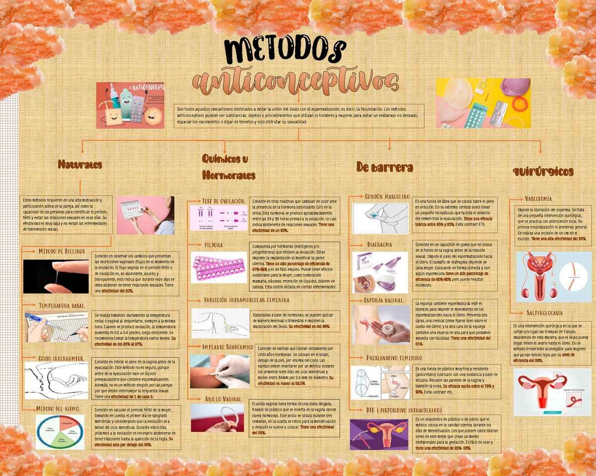 Mapa Conceptual Métodos Anticonceptivos - Son todos aquellos mecanismos destinados a evitar la uniÛn Foto imagen
