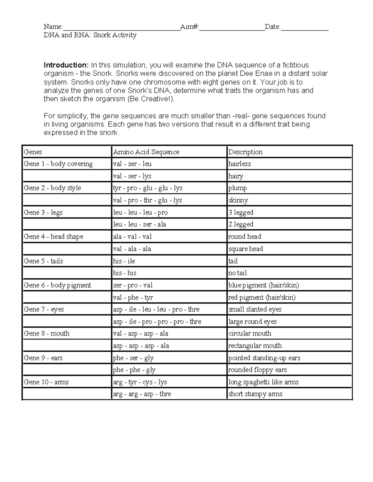 DNA and RNASnorks Activity DNA and RNA Snork Activity Introduction