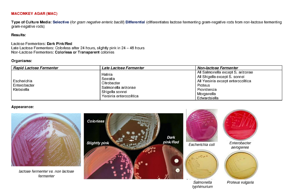 Enterobacteriaceae-LAB - MACONKEY AGAR (MAC) Type of Culture Media ...