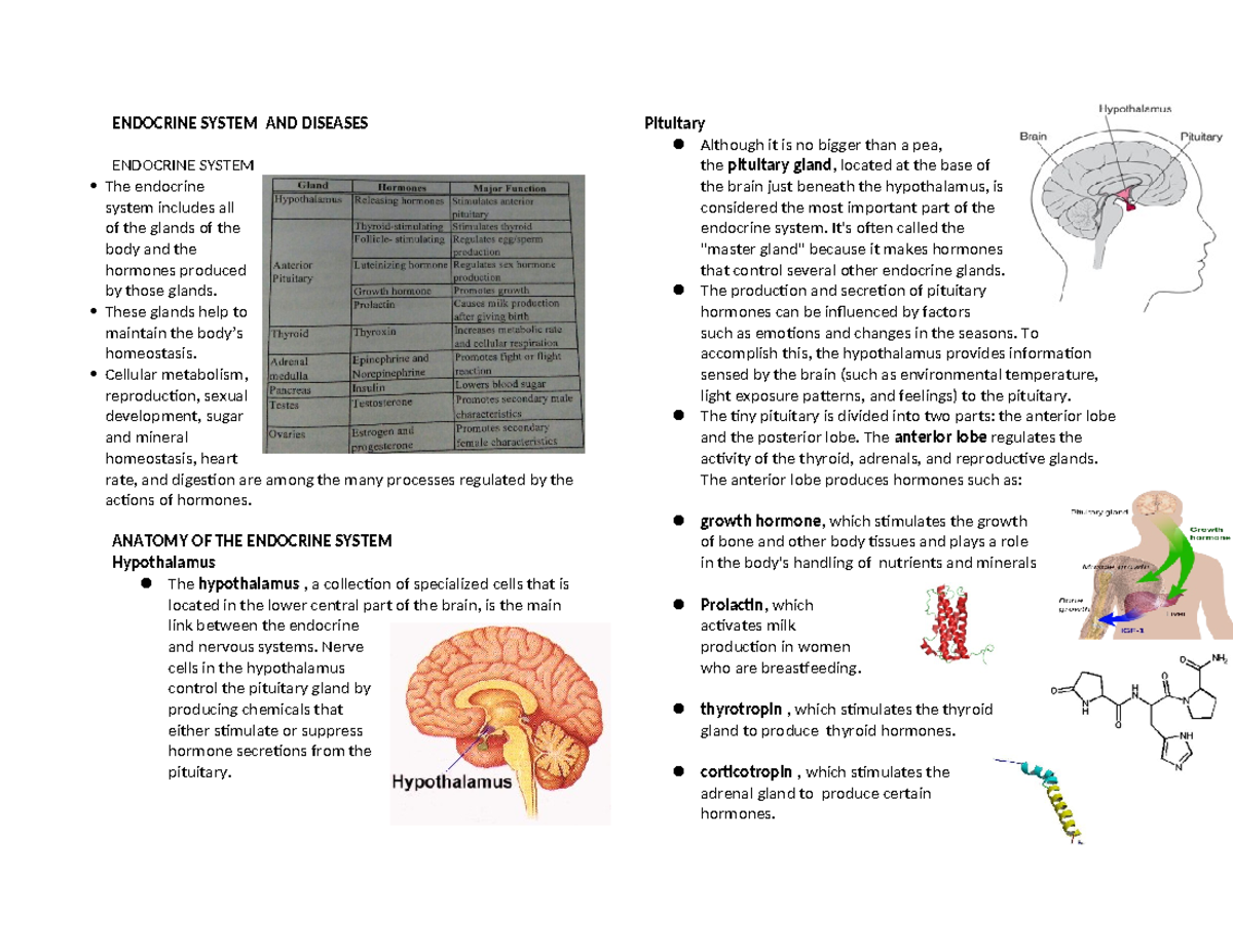 Gen. Bio Endocrine System & Its Diseases Reviewer - ENDOCRINE SYSTEM ...