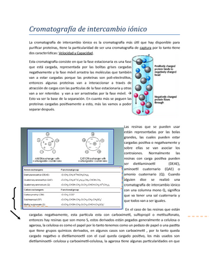 cromatografía de intercambio de iones