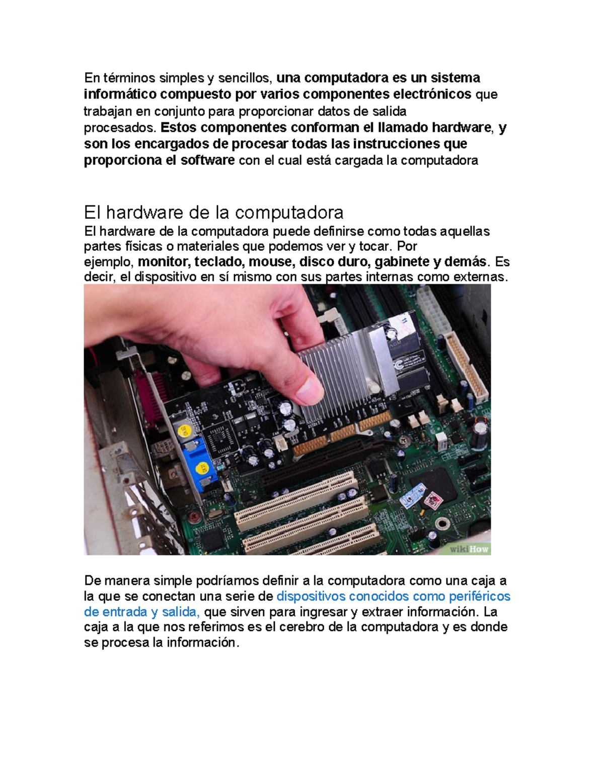 Documento informatica componentes - En términos simples y sencillos ...