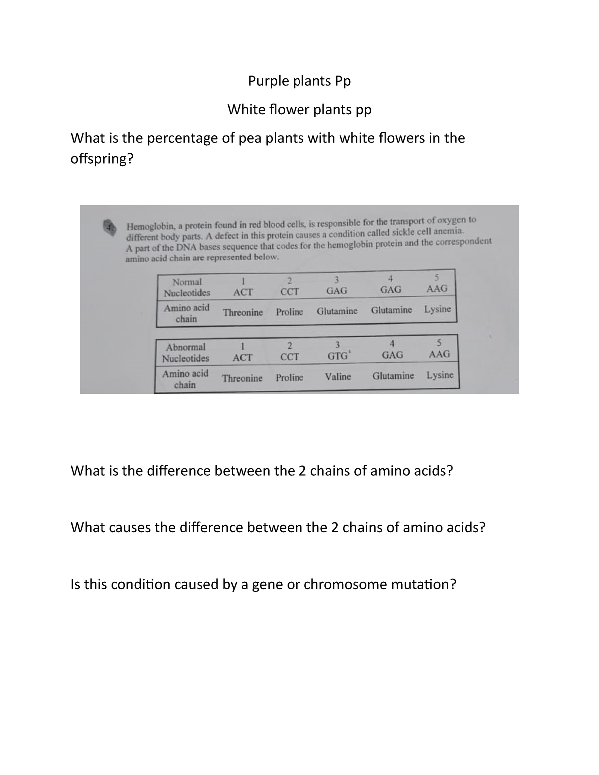 g8-section-4-3-before-physics-questions-purple-plants-pp-white-flower